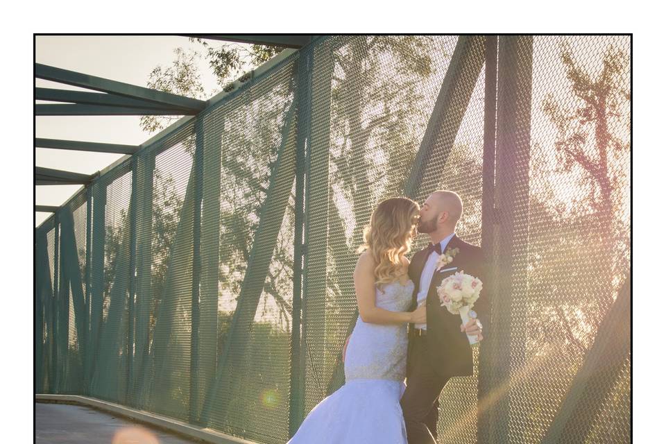MOVING STILL PICTURES PHOTOGRAPHY