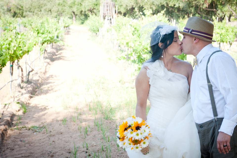 MOVING STILL PICTURES PHOTOGRAPHY