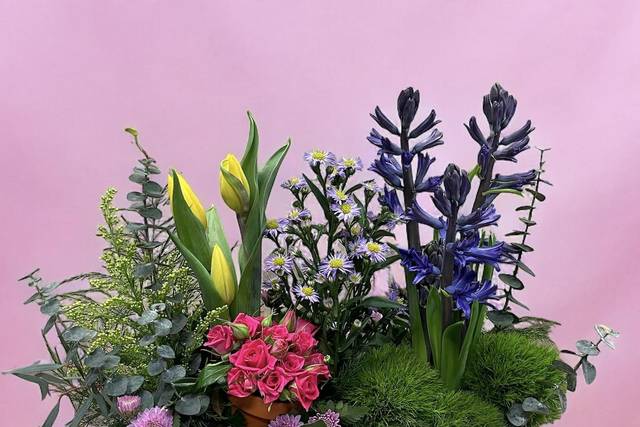 Bloomin' Wild