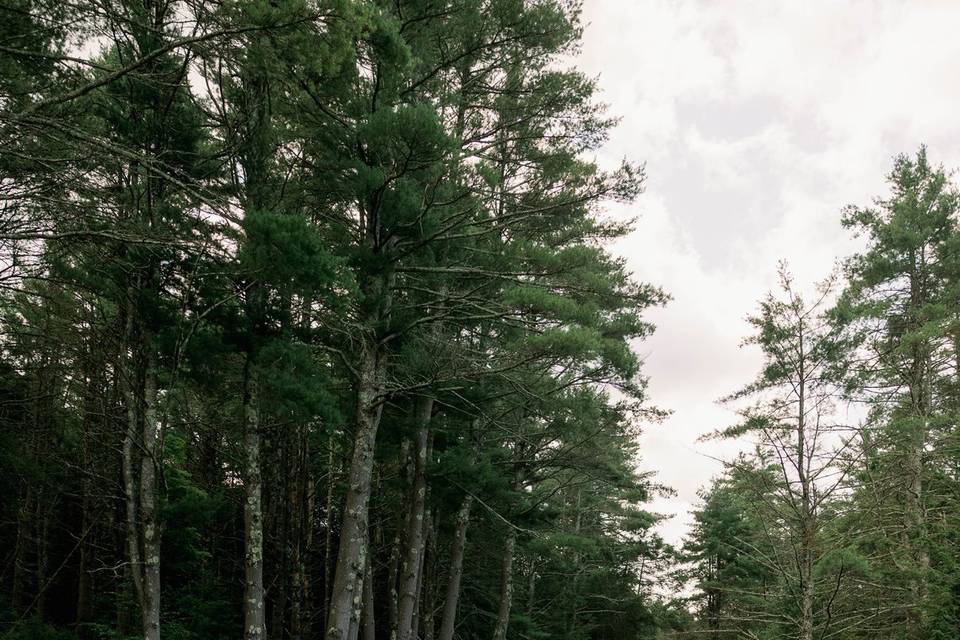 Pine Brook Manor