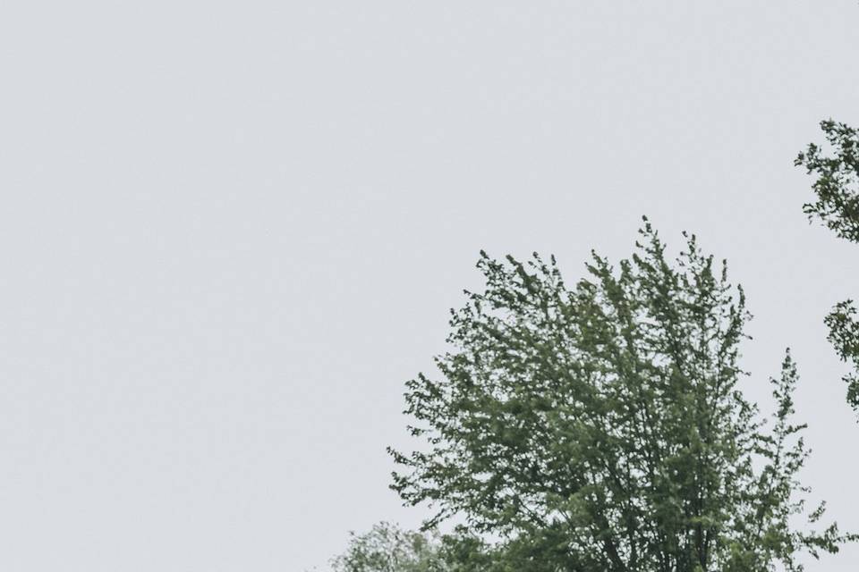 Fern + Oak Photography