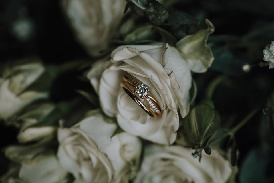 Fern + Oak Photography