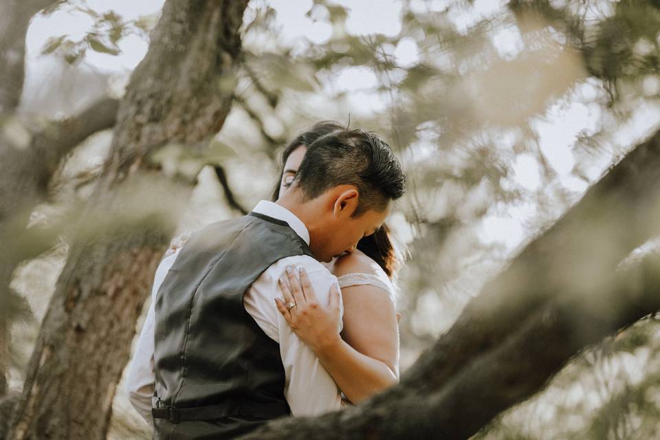 Fern + Oak Photography