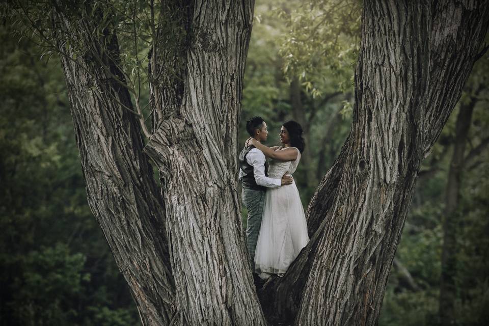Fern + Oak Photography