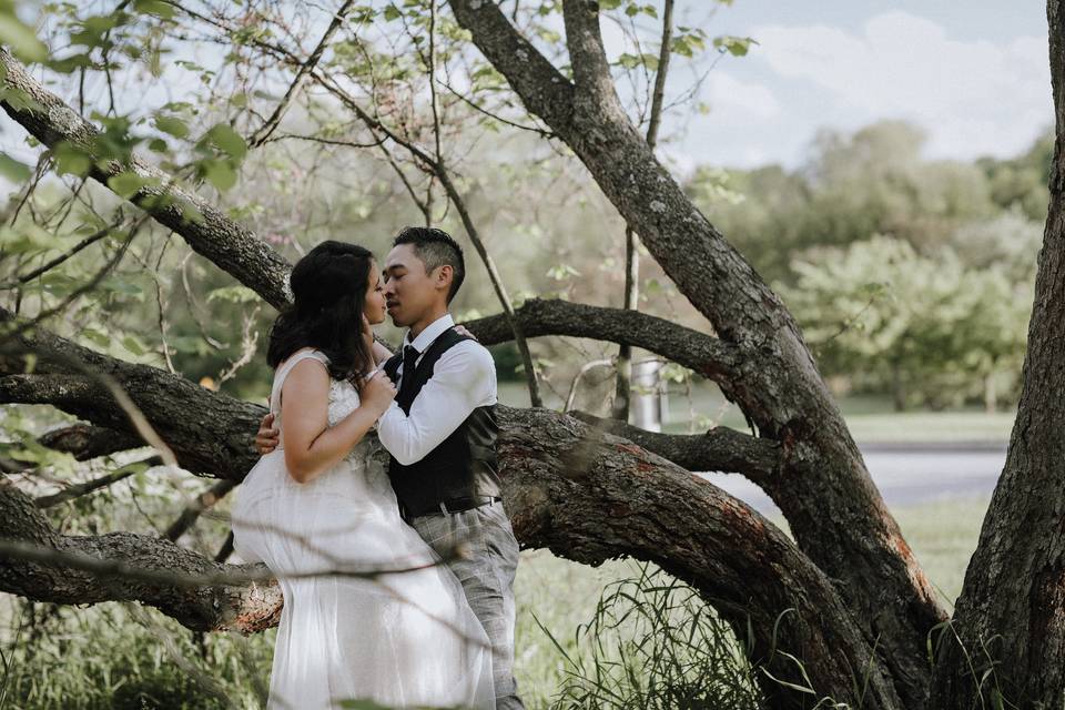Fern + Oak Photography