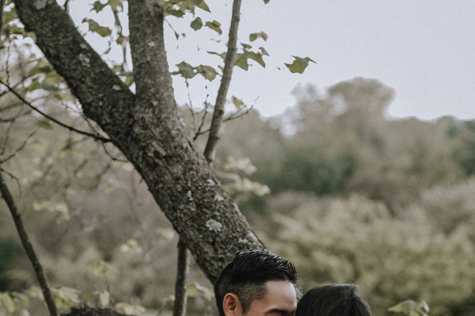 Fern + Oak Photography