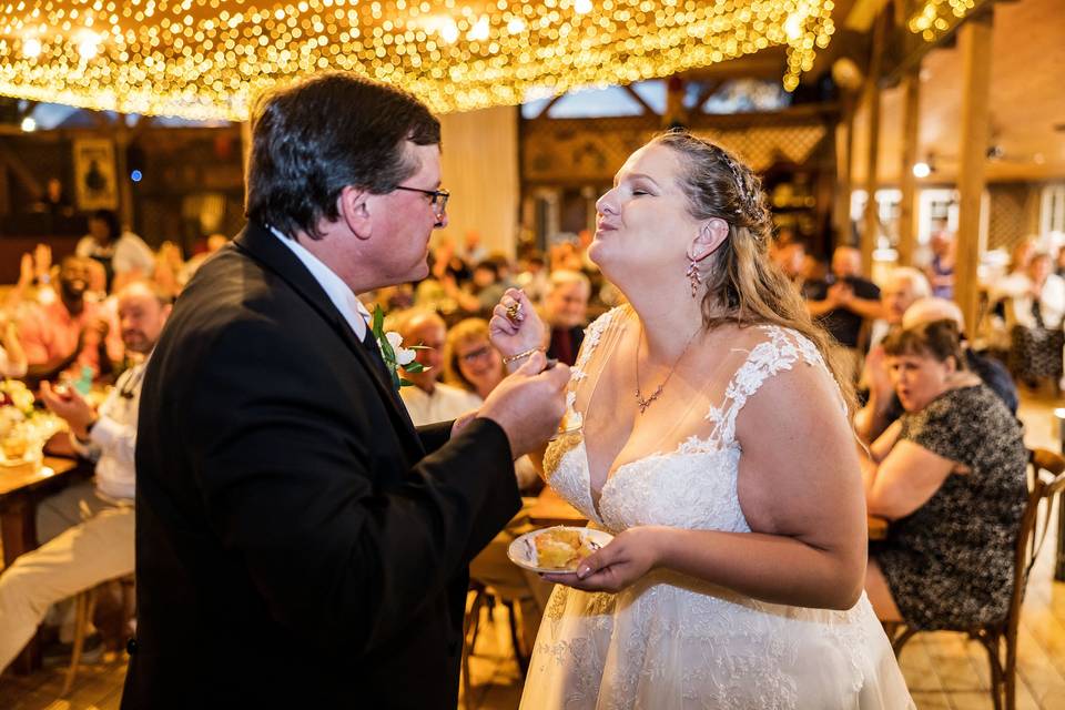 Cake Cutting