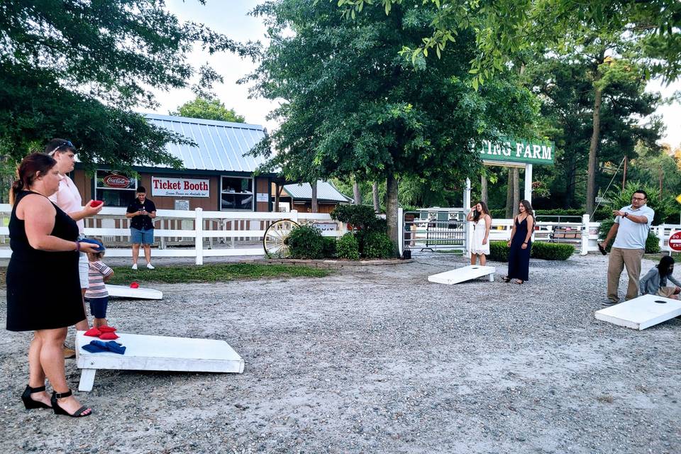 Corn Hole Fun