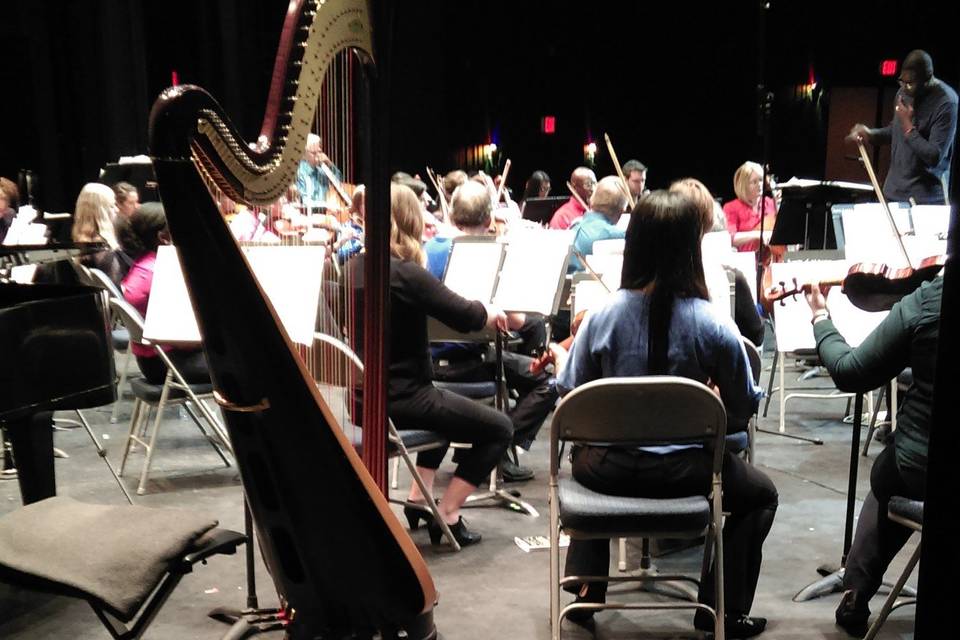 Harpist Alyson Webber