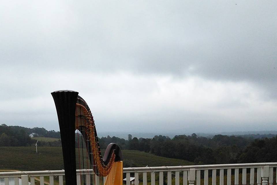 Harpist Alyson Webber