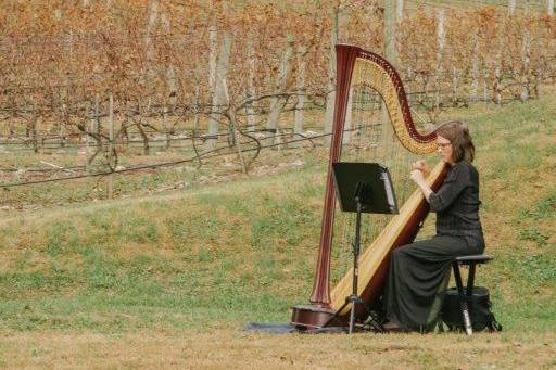 Harpist Alyson Webber