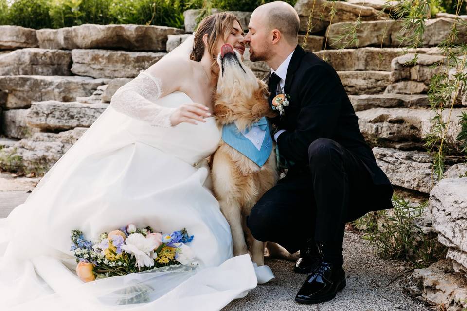 Steve + Sarah
