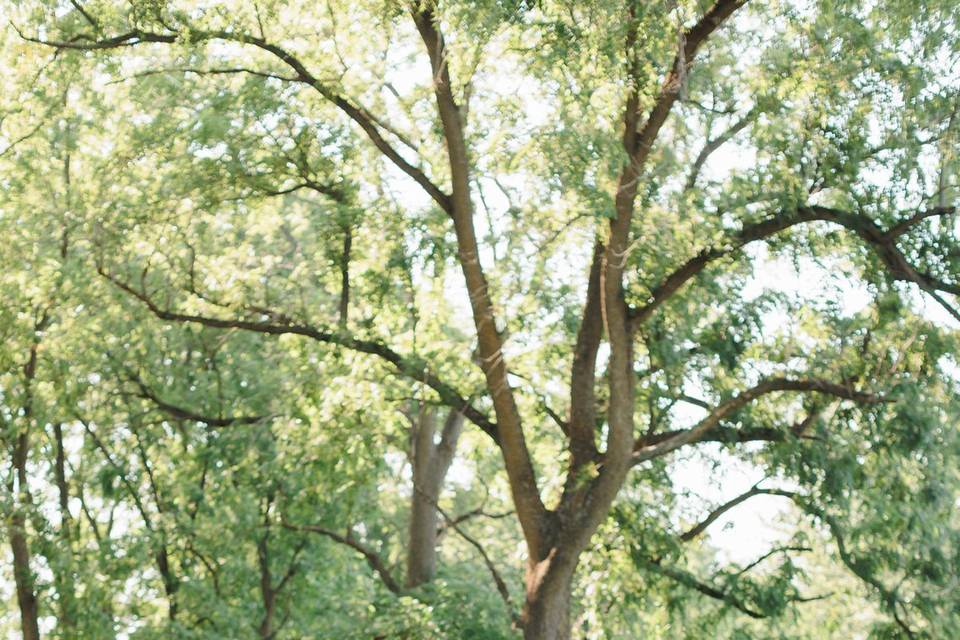 Rivka Photography