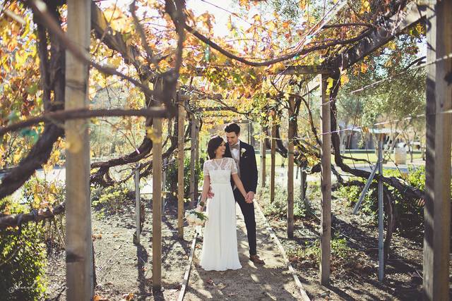 Romantic Trellis