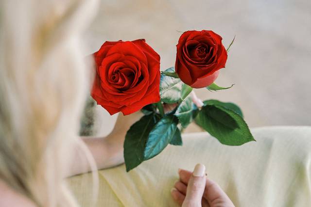 Red Roses
