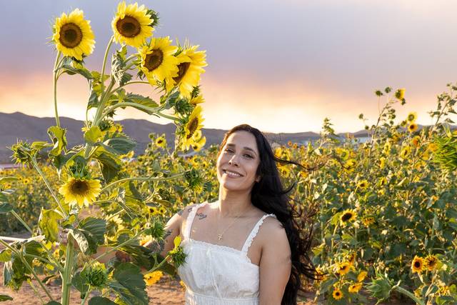 The Sunflowers