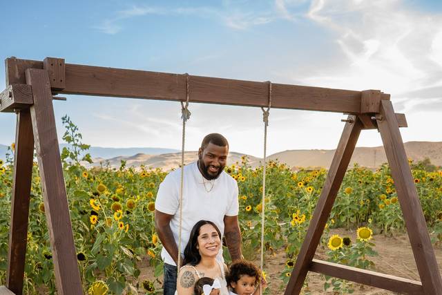 The Sunflowers