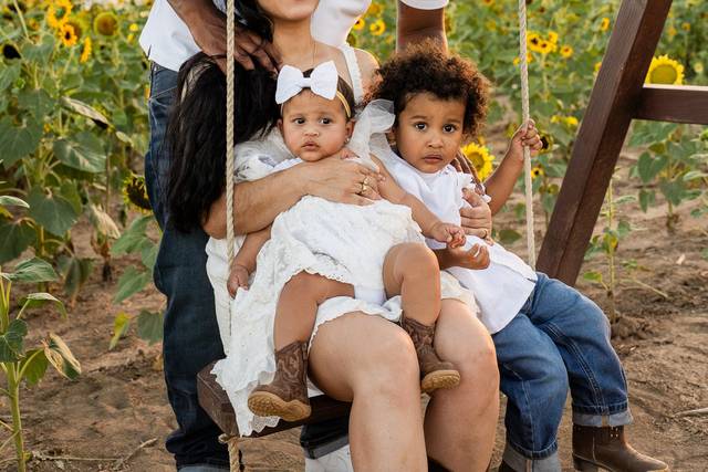 The Sunflowers