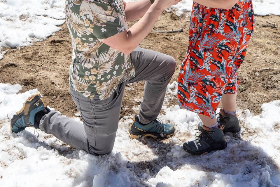 Surprise Engagement in Tahoe