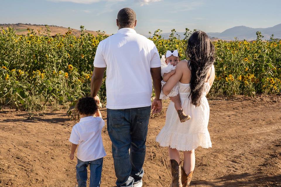The Sunflowers