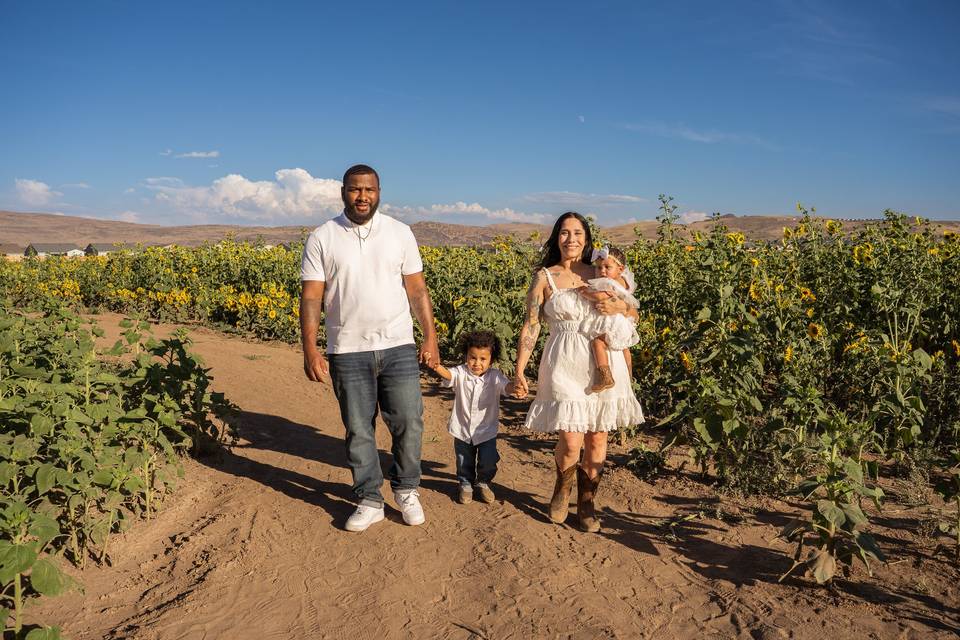 The Sunflowers