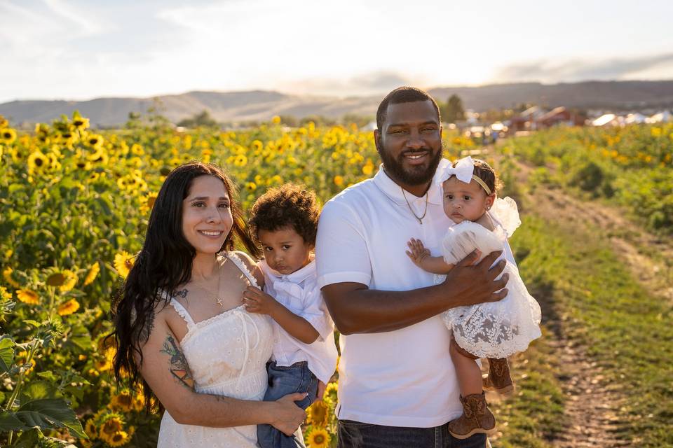 The Sunflowers