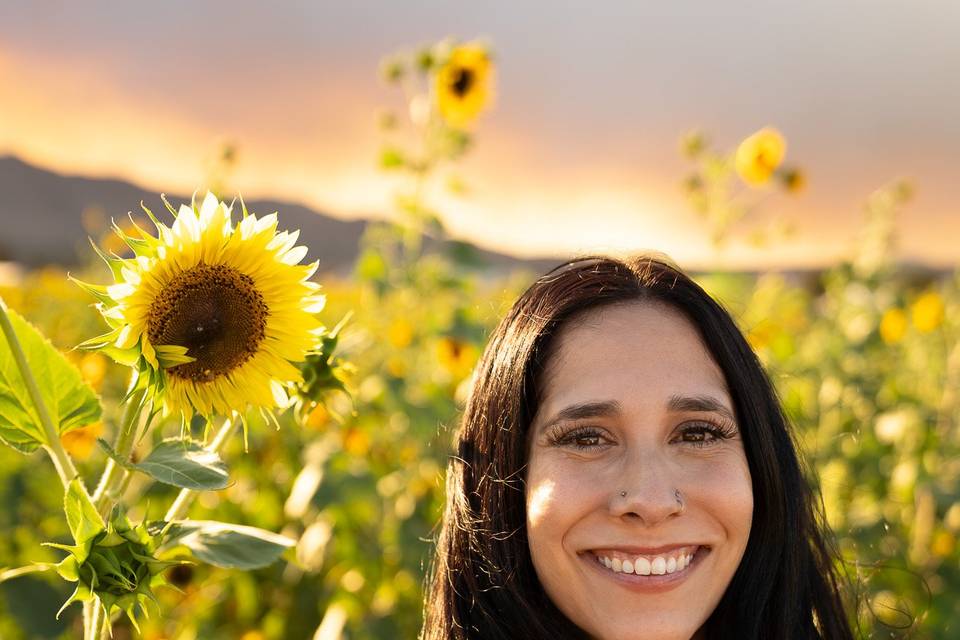 The Sunflowers