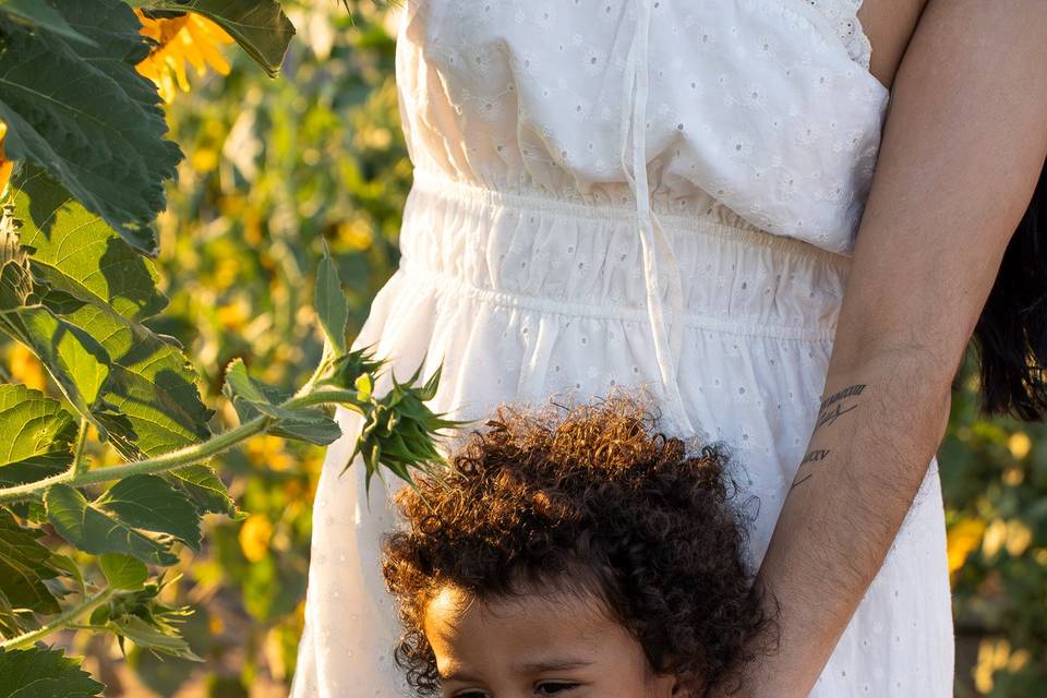 The Sunflowers
