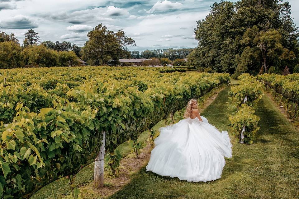 Gervasi Vineyard bride