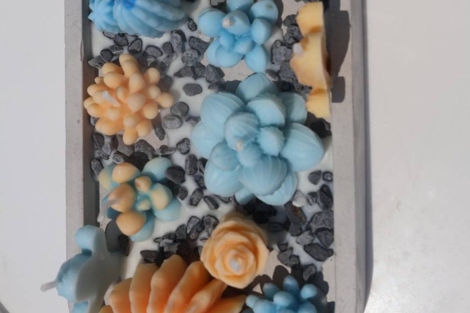 Succulent