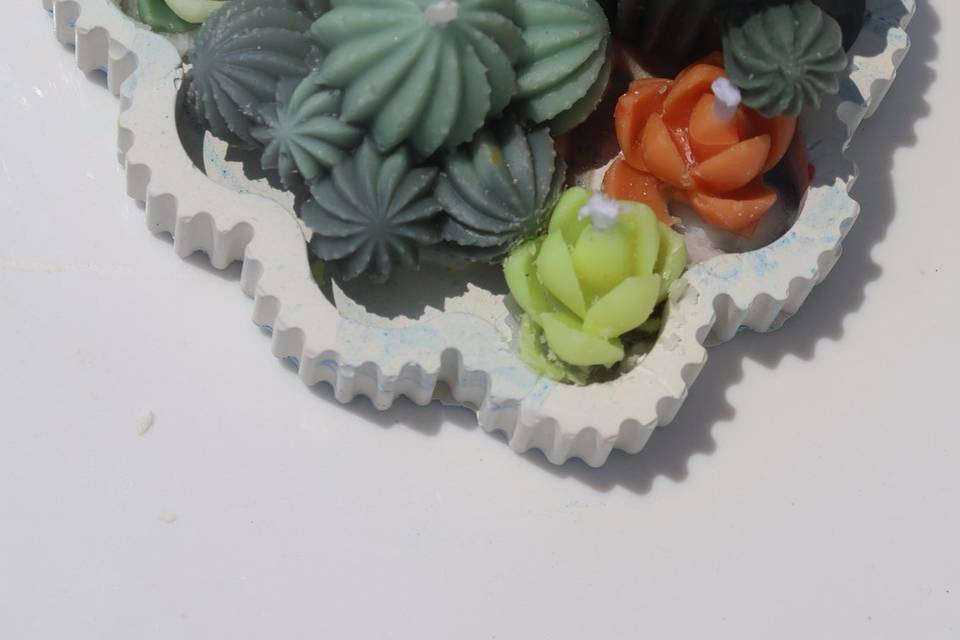 Succulent
