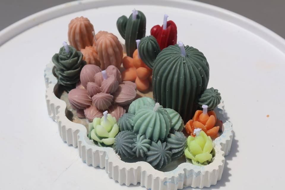 Succulent