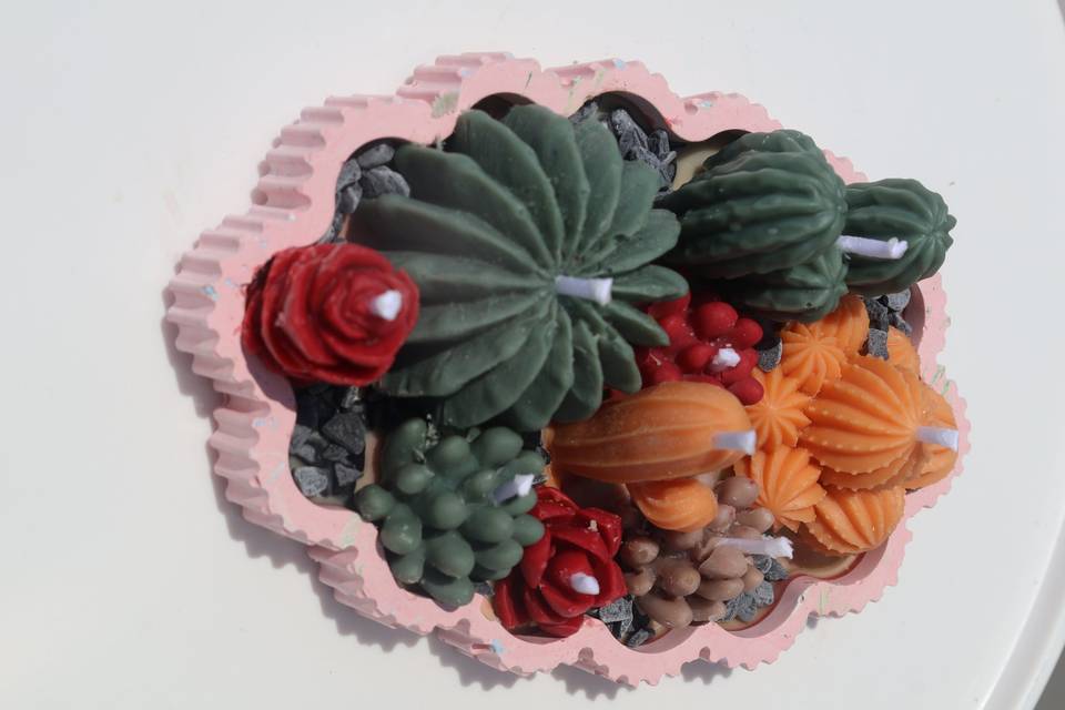 Succulent
