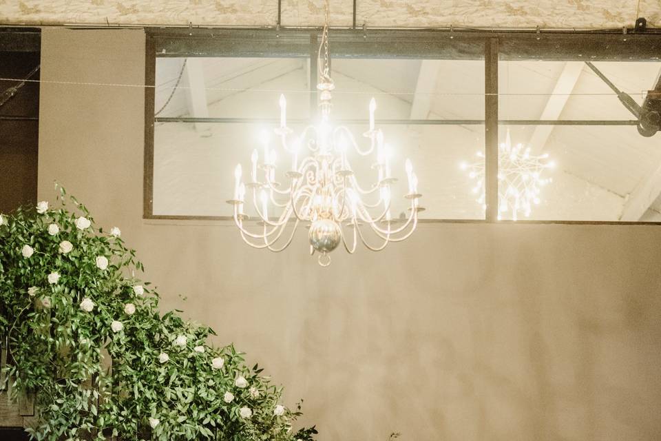 Lush greenery stairwell