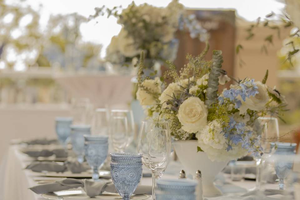 Silver Leaf Flowers