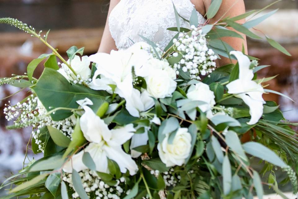 Silver Leaf Flowers