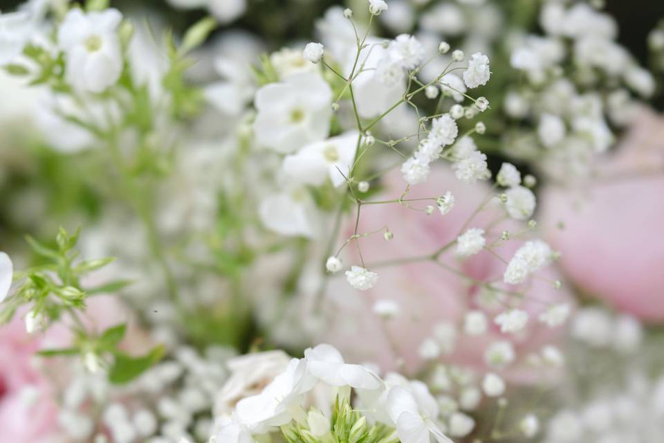 Silver Leaf Flowers