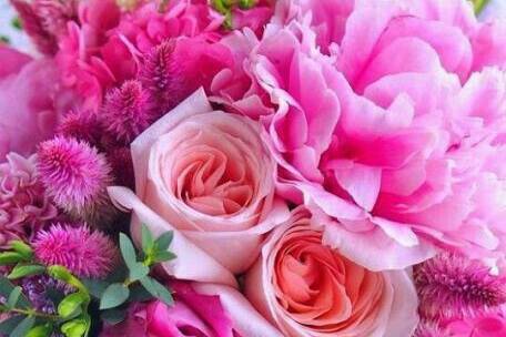 Silver Leaf Flowers