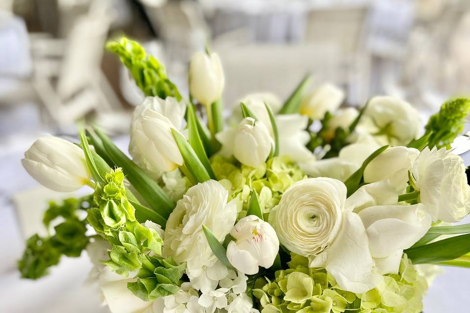 Silver Leaf Flowers