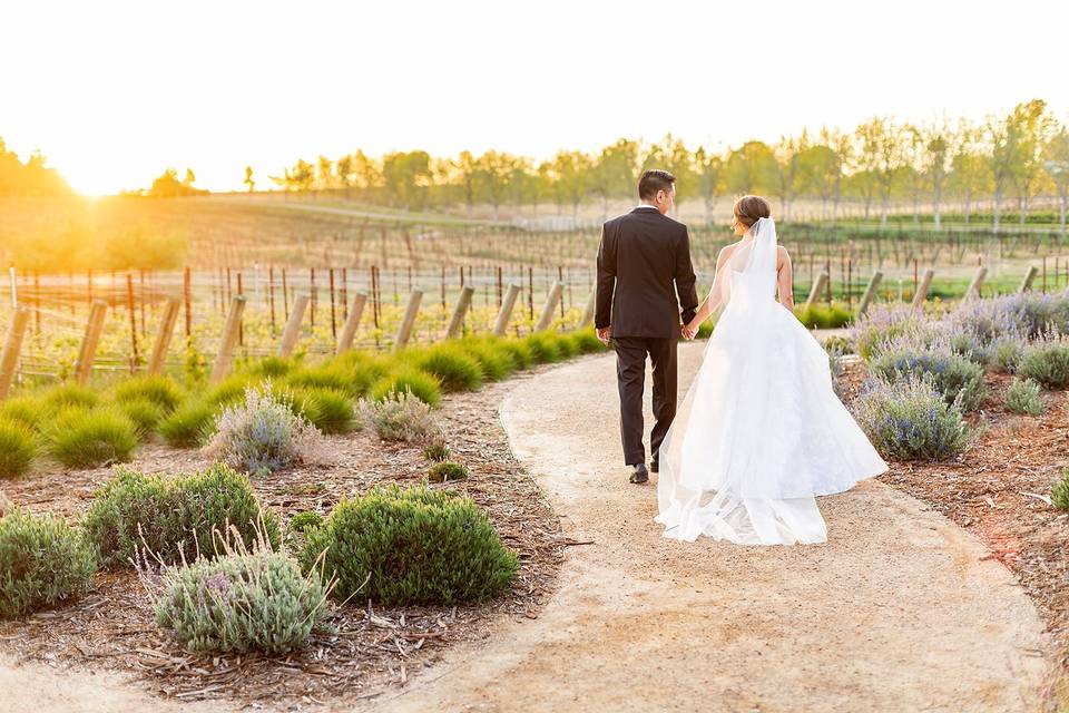 Brave & Maiden, Los Olivos