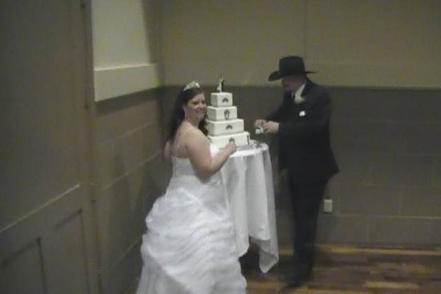 Couple cutting their wedding cake