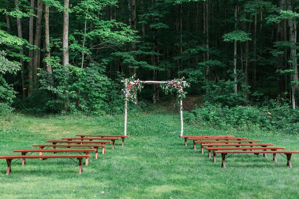 Birch arbor and intimate ceremony in the Meadow