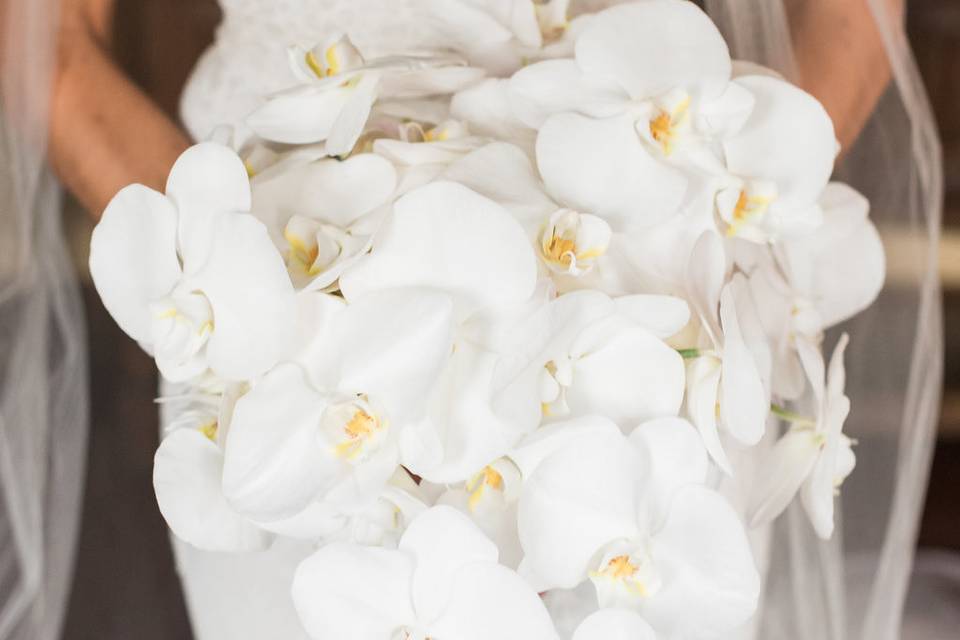 White orchid bouquet