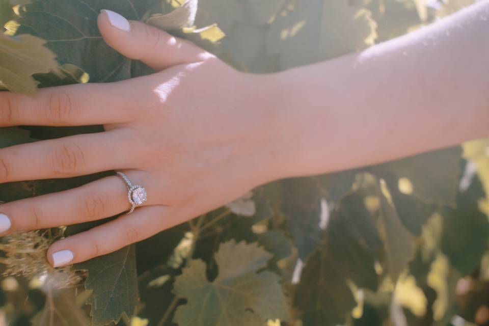 Proposal in Solvang