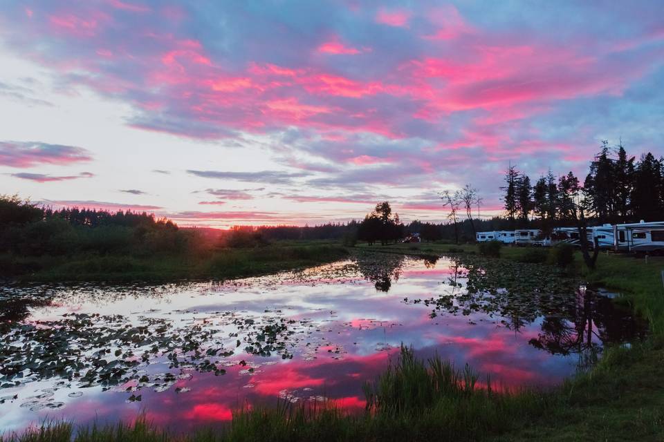 Beautiful sunset view