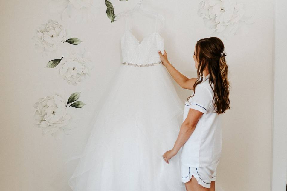 Bride and Gown