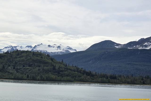 Glacier Bay Alaska Cruise Trav