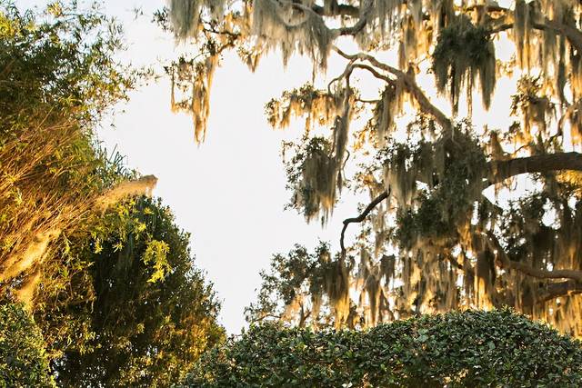 Heart Shaped Arch Kiss