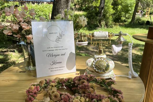 Audio guest book