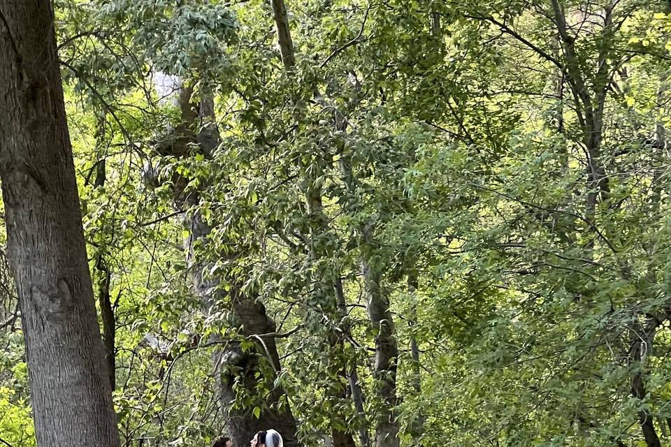 Woods
